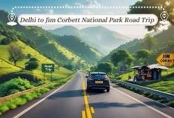 Delhi to Jim Corbett National Park Road Trip