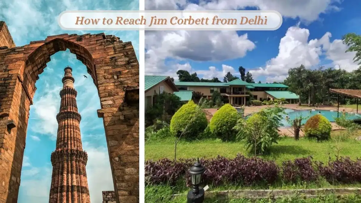 How to Reach Jim Corbett from Delhi