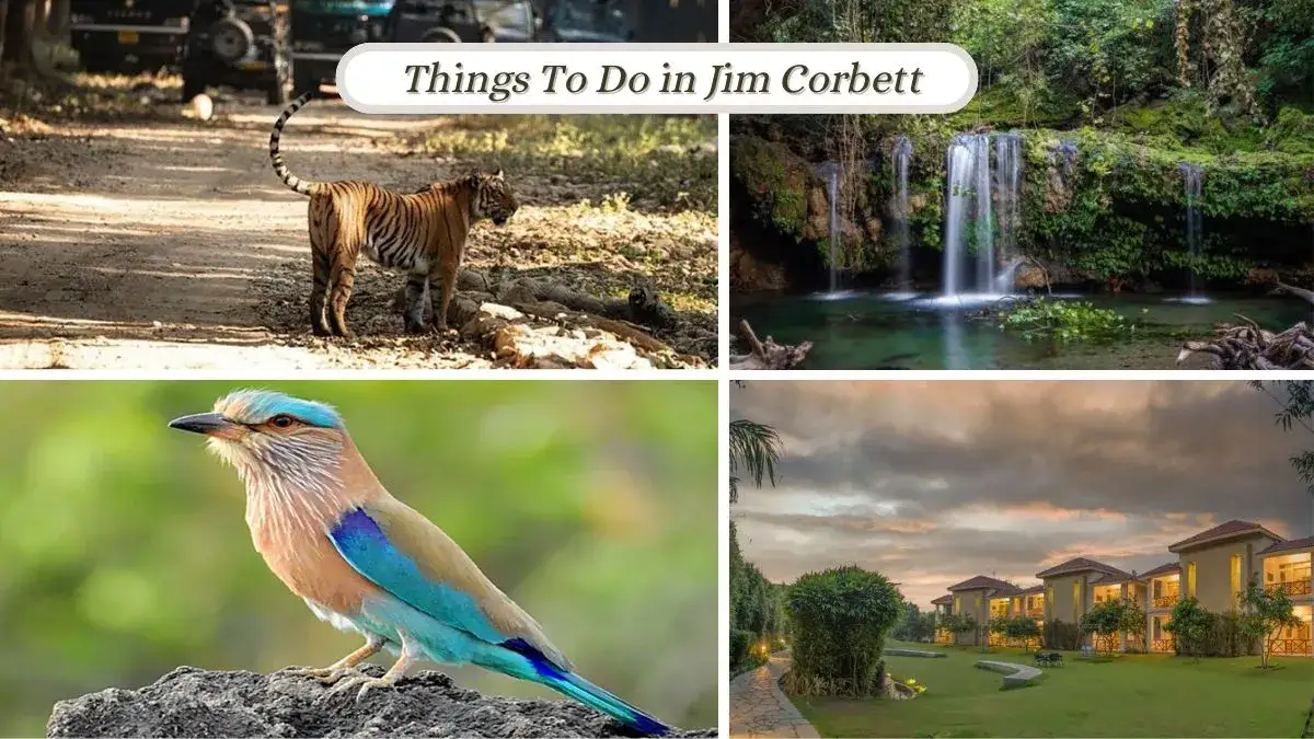 Things to Do in Jim Corbett