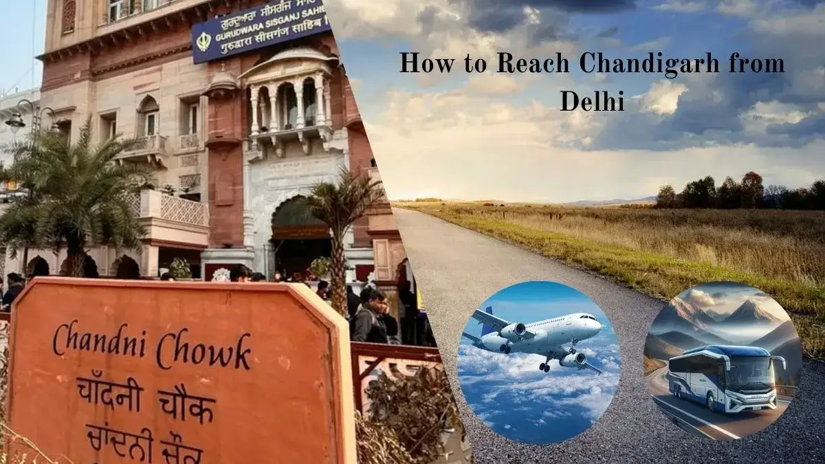 How to Reach Chandigarh from Delhi