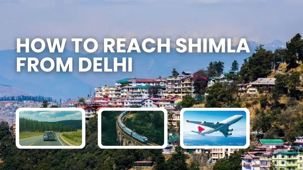 How to Reach Shimla from Delhi?