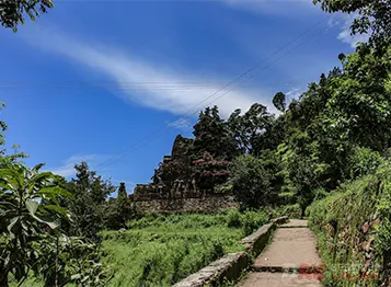 Delhi to Almora Tempo Traveller